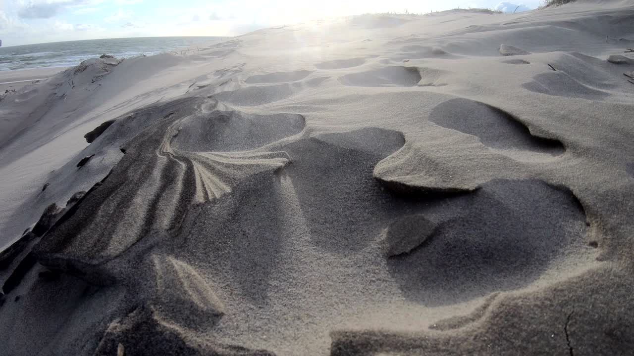 Sand dunes with dune grass in the storm of the North Sea, hiking dunes, dike protection, Sondervig, Jutland, Denmark, 4k