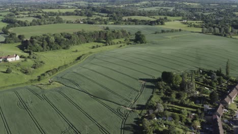 Summery-green-farmland-and-little-English-village-in-Castle-Hedingham,-high-angle