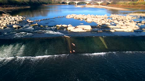 Aerial-drone-view-of-ducks-in-white-river-water-at-Belmont-Beach-with-bridge-in-background-Indianapolis,-IN