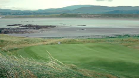 tall grass blows in breeze around coastal golf course green on ireland links golf course