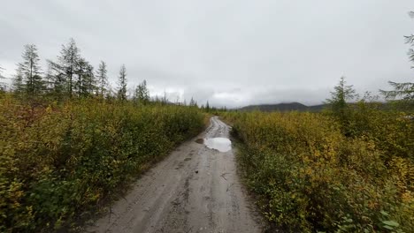 a mesmerizing aerial journey explores the captivating wilderness of yakutia, showcasing winding dirt paths and vibrant foliage amid a tranquil, cloudy sky