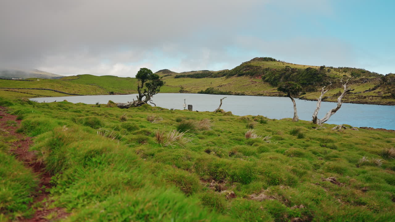 fotografía estática de un pintoresco pequeño lago natural rodeado de prados verdes rurales