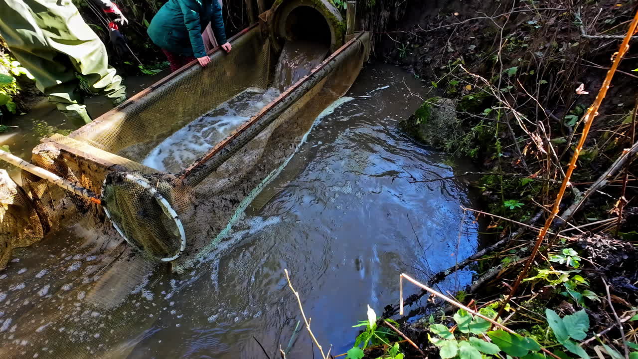 Environtanmetalists trying filter sewage pipe in forest area, slow motion