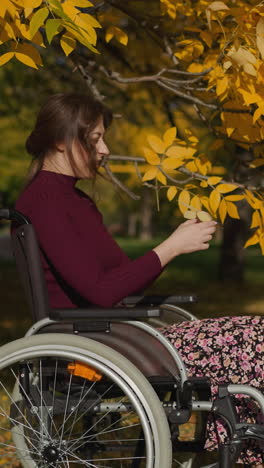 mother with disability sitting in wheelchair and daughter have fun playing with leaves in autumn park. preschooler girl with long braids gives mommy yellow ash leaves