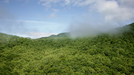 drone footage of misty mountain ranges in the great smoky mountains, usa
