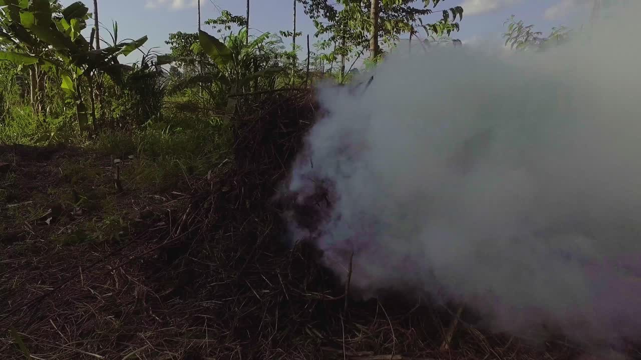 nubes de humo de la hierba quemada en los campos