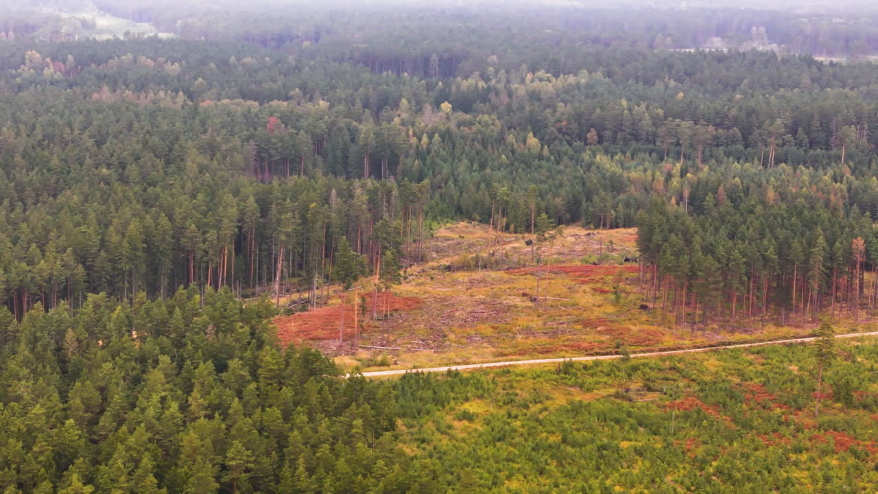 Drone aerial view of deforested land and new farming growth in Latvia countryside.