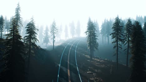 road through the russian taiga forest from aerial view