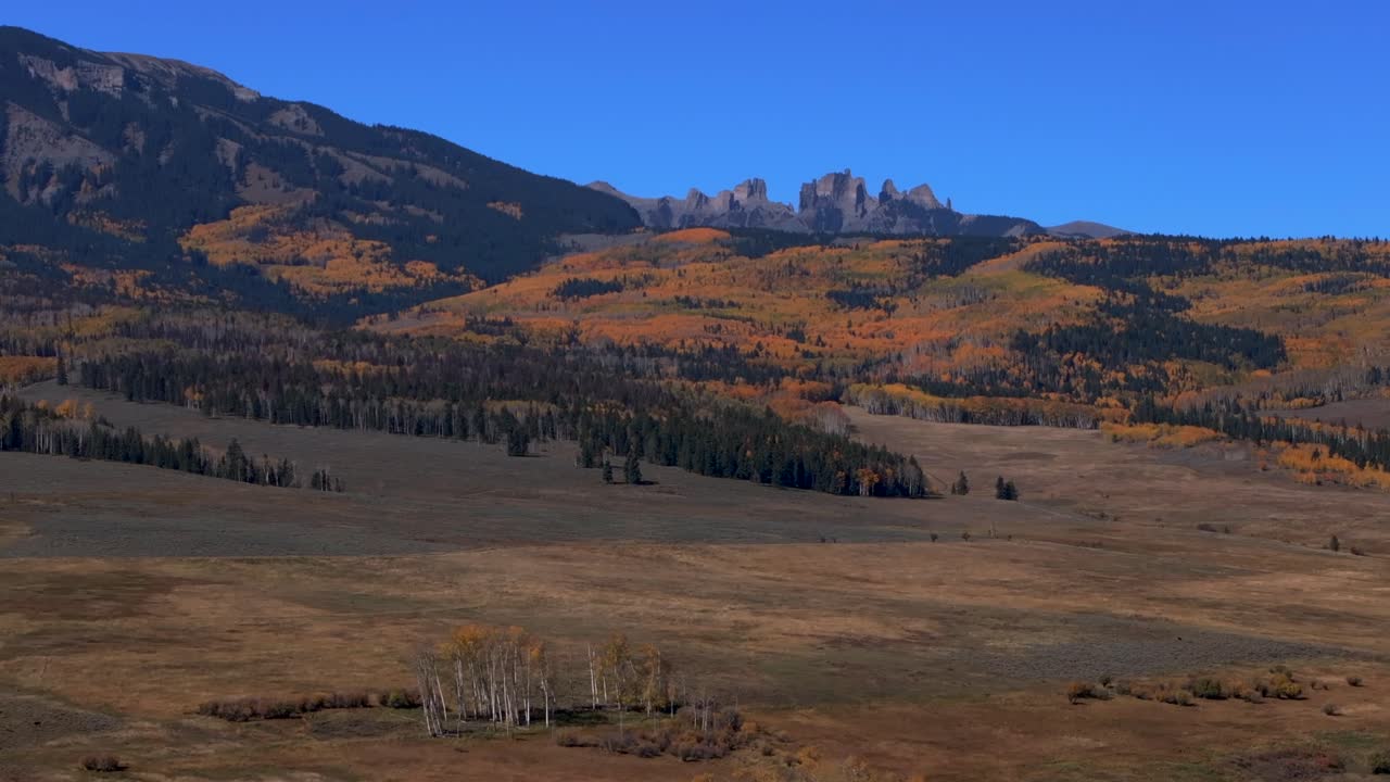 Crested Butte Aspen Trees Fall Autumn auburn full peak colors Castle Mountain aerial drone Colorado Ohio Kebler Swampy Pass Gunnison National forest morning sunny farmland blue sky backwards pan up