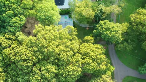 aerial top down view over the green trees, looking down on a playground below on a sunny afternoon