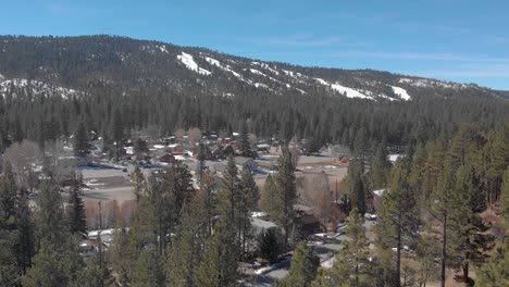 drone shot over big bear california trees with a snow