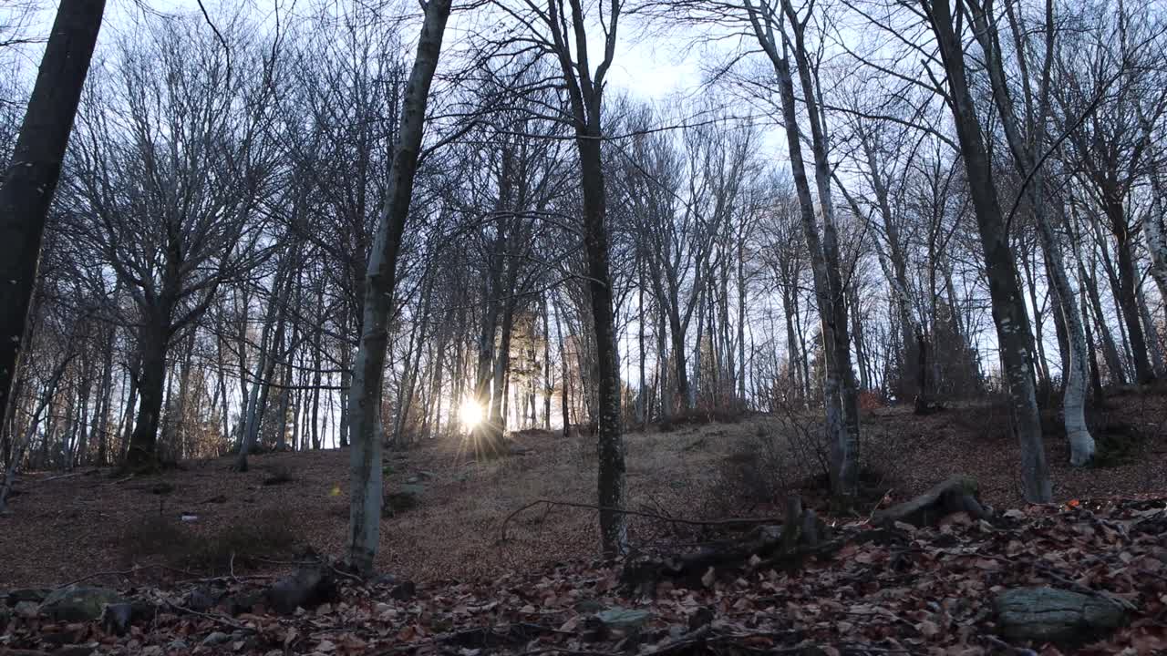 추운 안은 숲과 산의 그림자와 빛