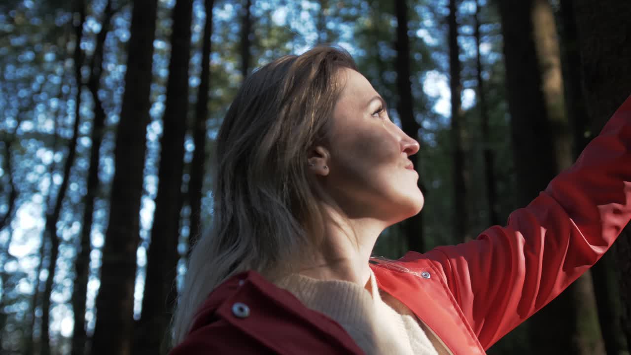la mujer en el bosque admira la luz del sol, la diversidad, el crecimiento hacia el futuro