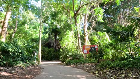 visitors walk along a lush zoo path