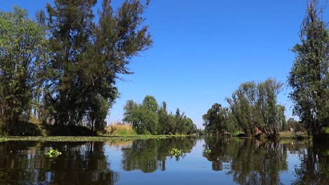 sunny day with blue sky in xochimilco mexico