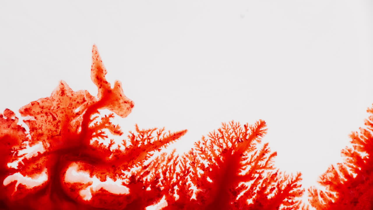 Red Fluid Spreading In White Surface Creating An Abstract Background