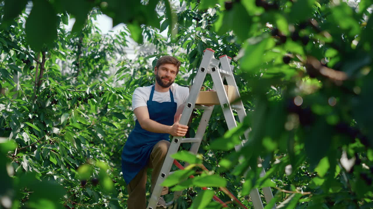 hombre trabajador de jardín posando en verde gran plantación de bayas soleado día de verano cálido