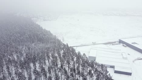 Lost-in-the-Mist:-Aerial-Footage-of-Snowy-Forest-on-a-Hazy-Morning-and-Unrecognisable-Shopping-Centre