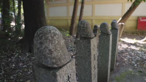 cerca del pene del santuario tagata en el templo de la fertilidad