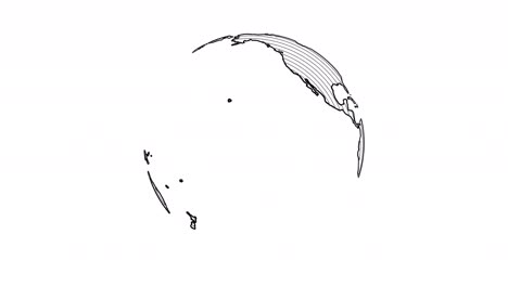 contour of the globe on a white background.