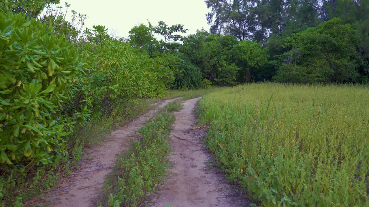POV walking forward country road dirt path in a grass field with clear blue sky. Camera slowly moves through sandy footpath surrounded by lush green meadow and forest in evening sunset