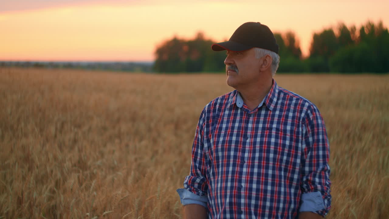 Portrait of a happy Senior adult farmer in a cap in a field of grain looking at the sunset. Wheat field of cereals at sunset. Slow motion