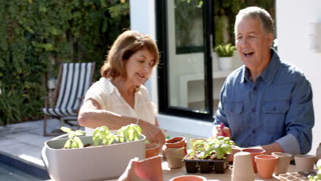 gardening together, senior friends planting in pots and watering plants outdoors
