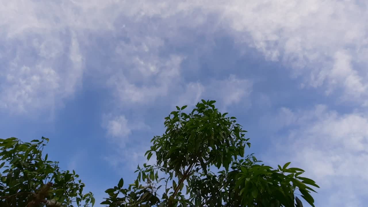 시네마틱 스카이 비디오