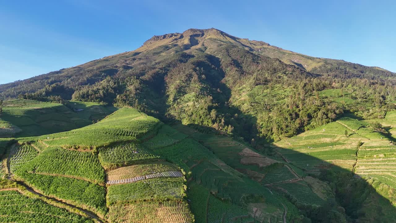 Aerial view over the tobacco plantations on the slopes of mount Sumbing