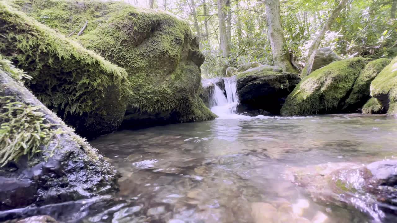 musgo de agua clara y limpia en rocas en las montañas de los apalaches
