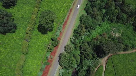 Truck-is-passing-on-road-beside-tea-plantation-in-Limuru,-Kenya