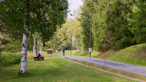 un parque urbano con árboles verdes y césped