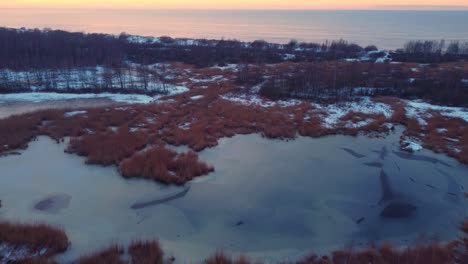 Freezing-cold-flora-at-shores-of-Daugavgriva-beach-Latvia-aerial