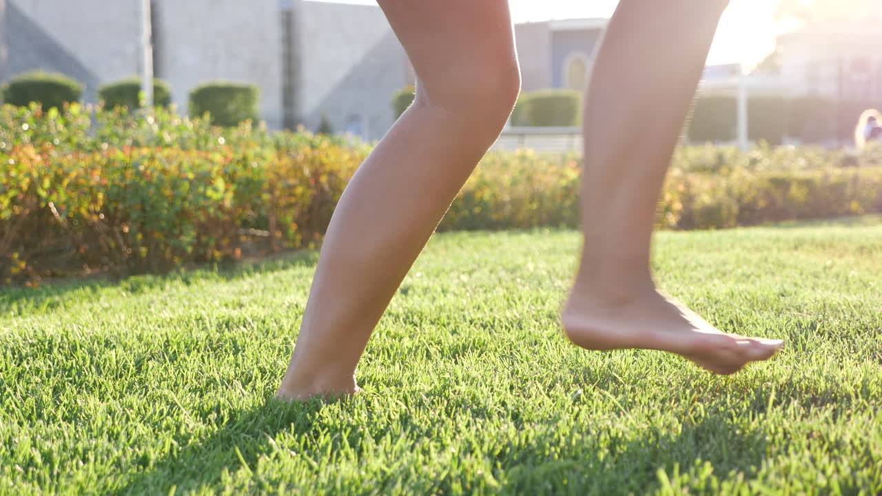 해가 지는 공원 잔디