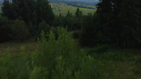 Flying-Over-Dense-Forest-And-Mountains-Near-Dzianisz-Villages,-Podhale-Region,-Tatra-County,-Southern-Poland