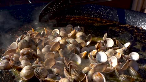 preparing traditional spanish paella, frying seafood