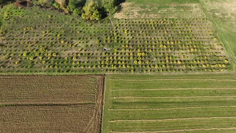 Felder-Mit-Getreide-Und-Gemüse-Auf-Dörflichem-Ackerland,-Aufnahme-4k-60-Fps