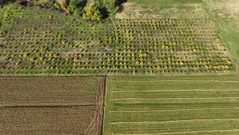 Fields-of-crops-and-vegetables-on-village-farmland-areal-shot-4K-60-fps