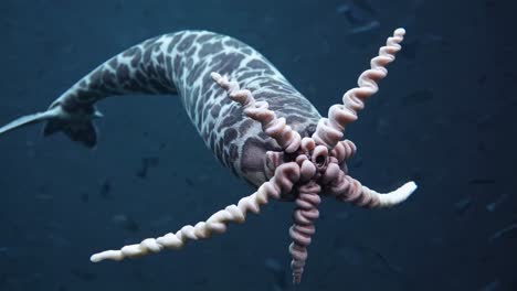 Strange Deep Sea Creature