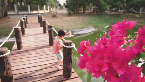 clip de muñeca en cámara lenta de un niño asiático de dos años disfrutando en un parque al aire libre alimentando pan a los peces en un estanque desde un pequeño puente de madera al atardecer