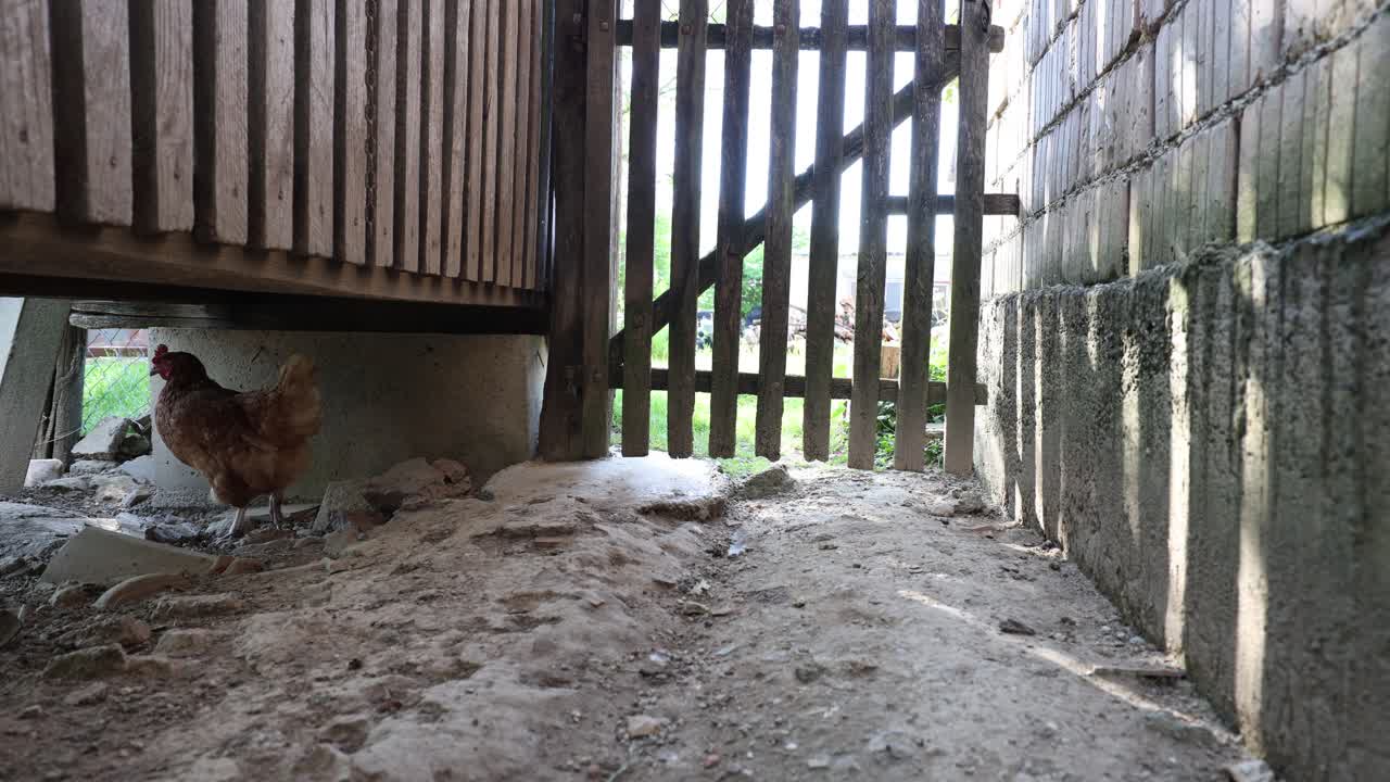 마을에서 여름날에 많은 은