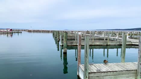 Marina-Waterfront-In-Traverse-City-Michigan