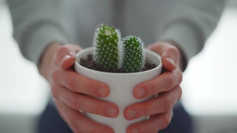 hombre sosteniendo una planta de interior en maceta en sus manos y mostrándola a la cámara