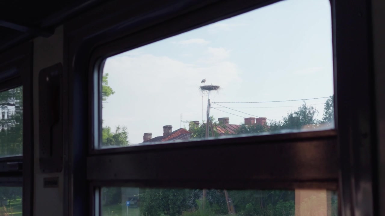 Vista dal finestrino di un treno passeggeri che mostra una cicogna bianca seduta nel nido in cima a un palo della corrente mentre si passano piccole case di villaggio nella campagna della Letgallia durante un viaggio diurno