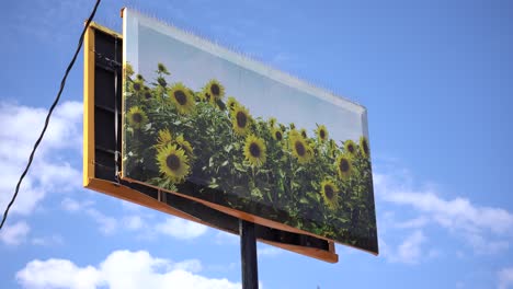 Mural-De-La-Ciudad-De-Obras-De-Arte-De-Girasol-Con-Cielo-Azul