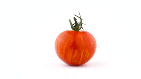 un tomate a rayas de globo rojo entero. girando en la mesa giratoria aislado en el fondo blanco. cerca. macro.