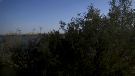 Lake-in-the-Fayoum-desert-in-Egypt---camera-moving-left