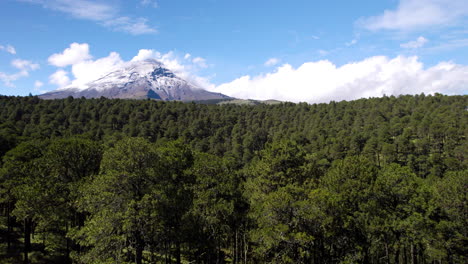 drone shot of the pine forest that is part of the popocatepetl volcano nature reserve in mexico city