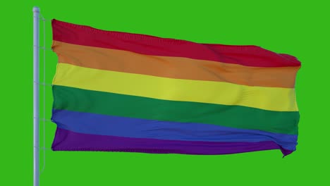 lgbt flag waving in the wind. green screen background