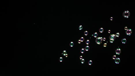 soup bubbles isolated on black background